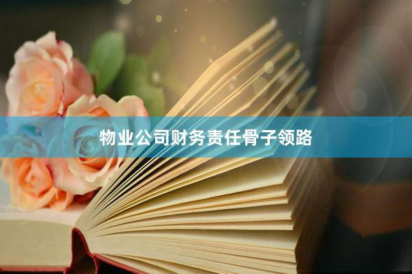 物业公司财务责任骨子领路